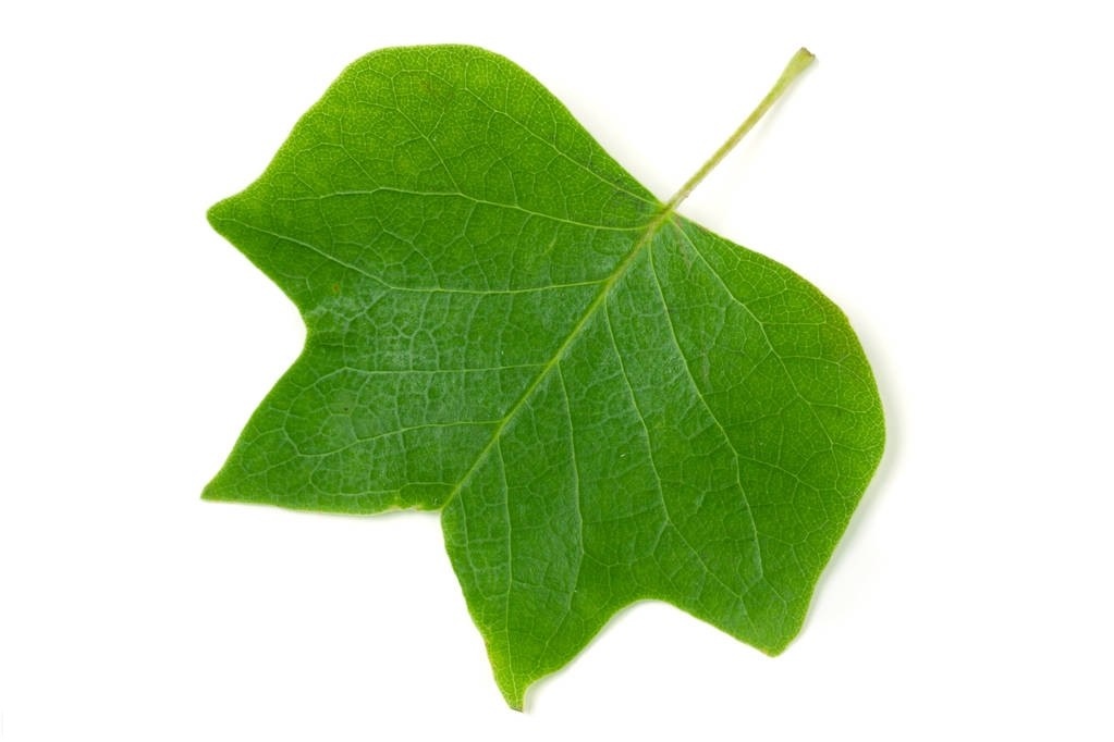 1595655644991006.jpg 1595655644991006.jpg