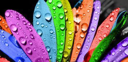 1602826503.jpeg 顏色123.JPEG