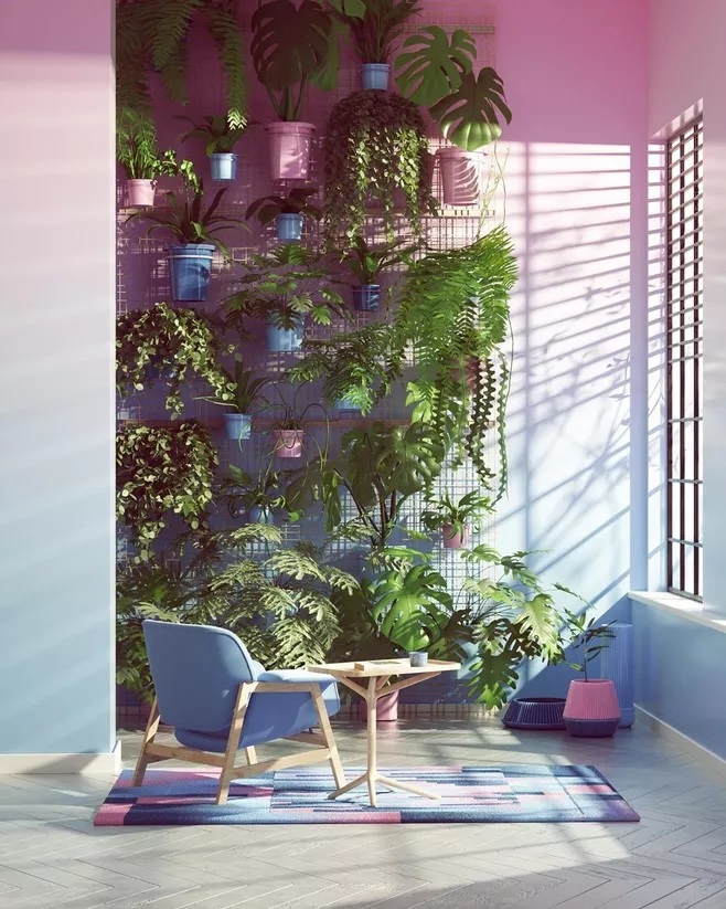 1602828077.jpg 室內(nèi)植物.jpg